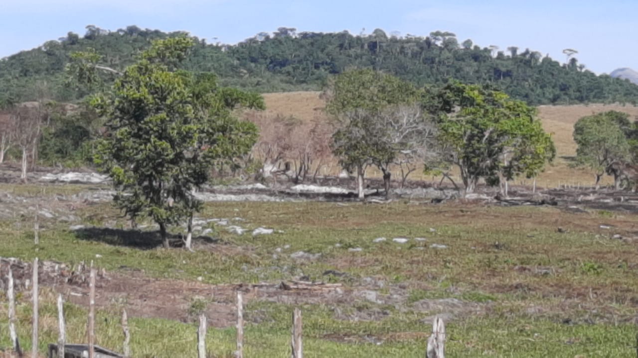 Linha Verde leva polícia a terreno com degradação ambiental de 10 mil metros quadrados em Rio Bonito 